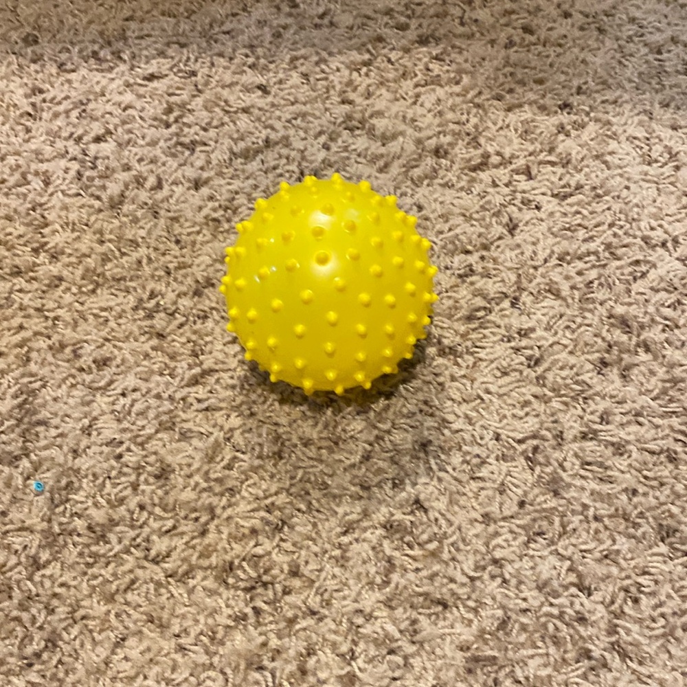 Round spiky ball